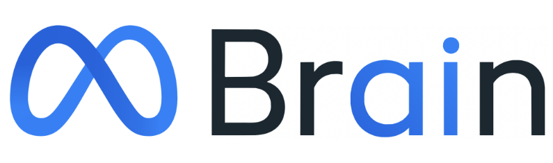 Meta Brain & AI